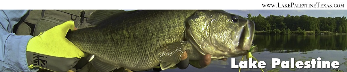 Lake Palestine in East Texas Lake Palestine in East Texas