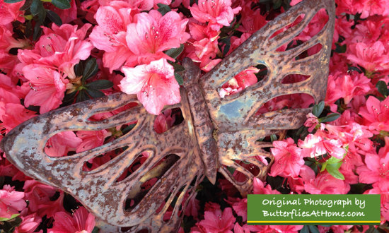 Dozens of brilliant pink Azaleas in the spring ... along with some butterfly art work!