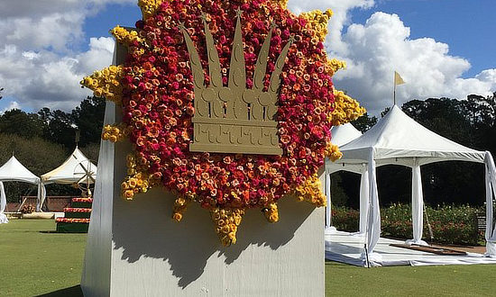 The grounds of the Tyler Rose Garden during the Texas Rose Festival
