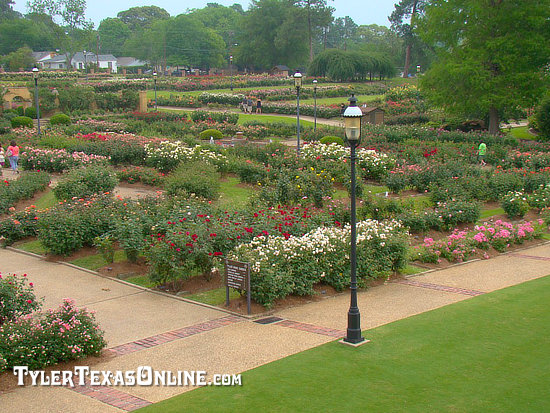 The Tyler Municipal Rose Garden and Rose Museum