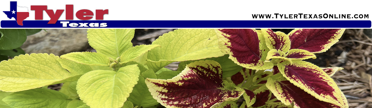 TylerTexasOnline.com website map