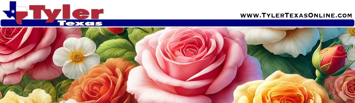 Video of the Tyler Texas Municipal Rose Garden