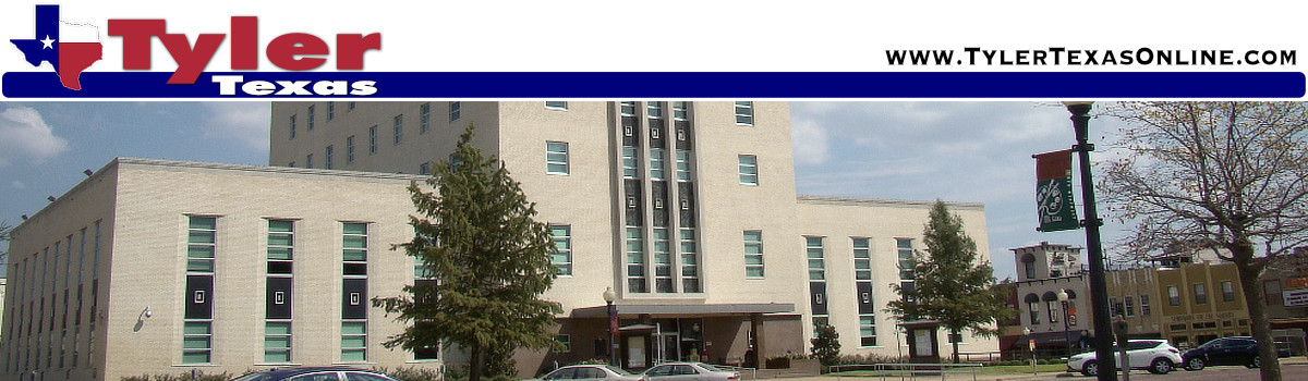 Smith County Texas government